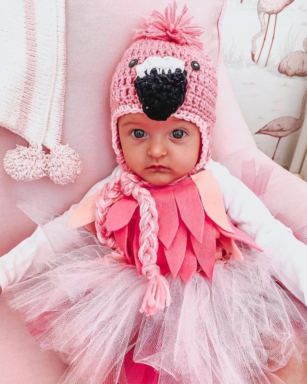 closeup of baby dressed in crochet flamingo outfit