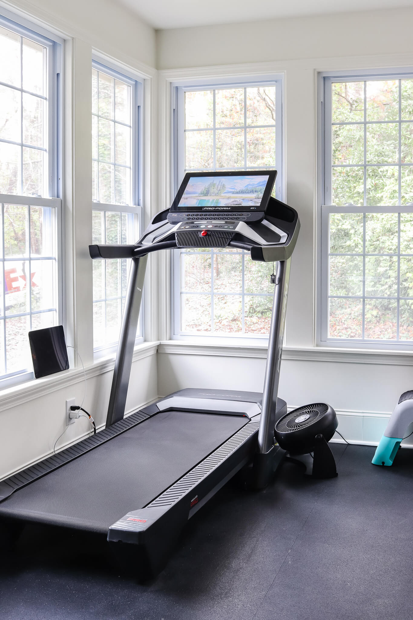 proform 9000 treadmill in home gym