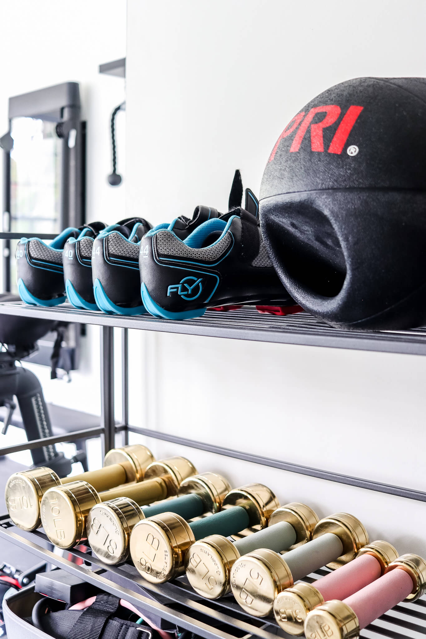 closeup of weight rack with colorful and gold weights on it in home gym